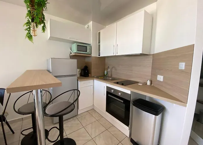 Grand 2 Pers, Vue Mer, Parking Privé - Fr-1-81-616 *